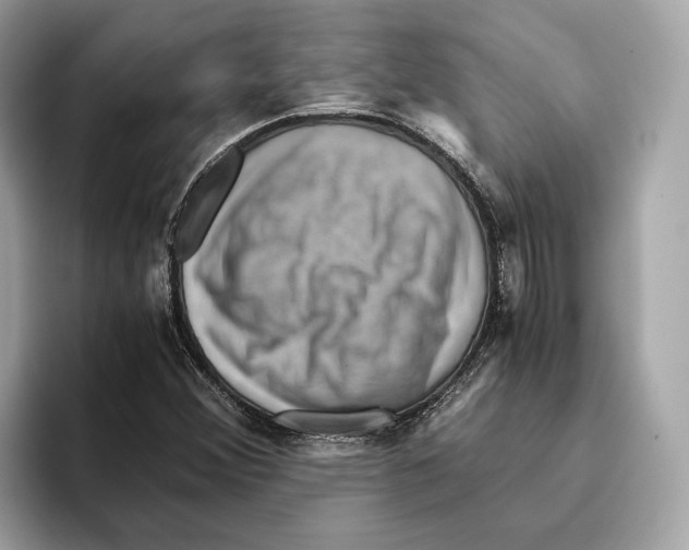 X0000095541356200801111425