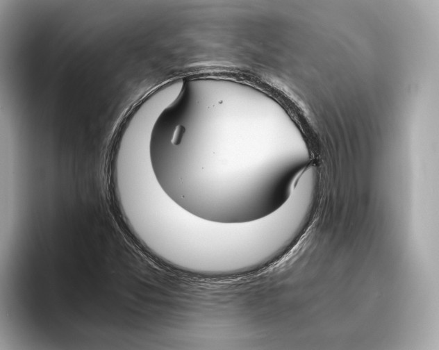 X0000095541357200801111425