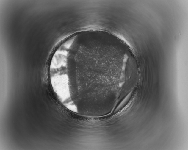 X0000095541358200801111425