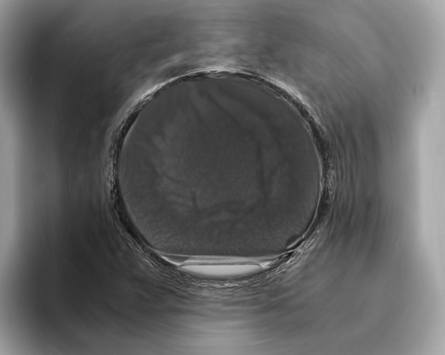 X0000095541359200801111425