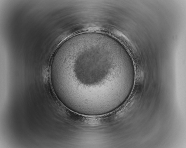 X0000095541361200801111425