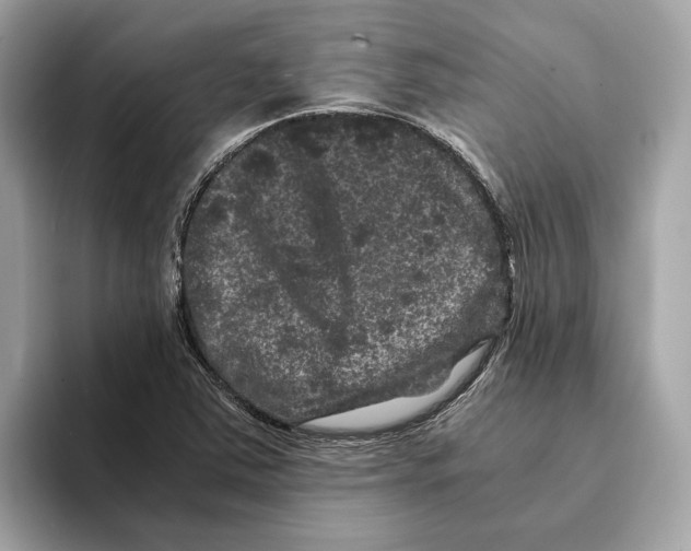 X0000095541363200801111425