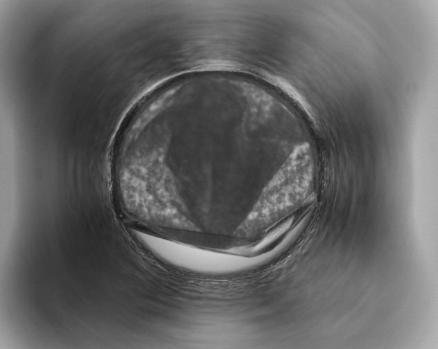 X0000095541364200801111425