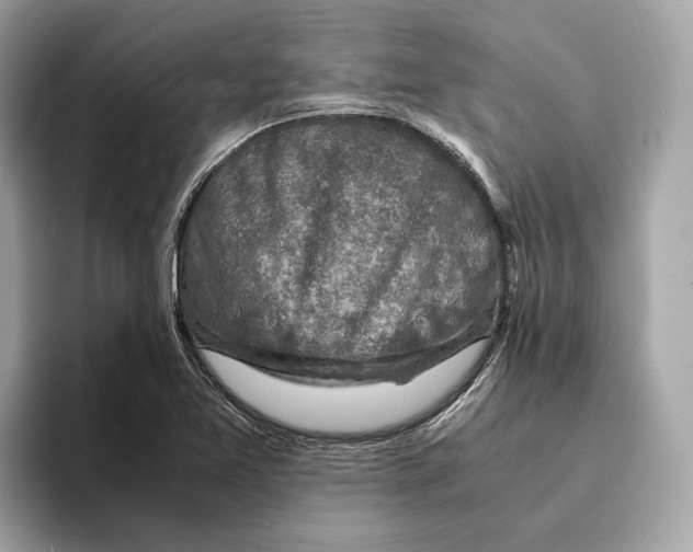 X0000095541365200801111425