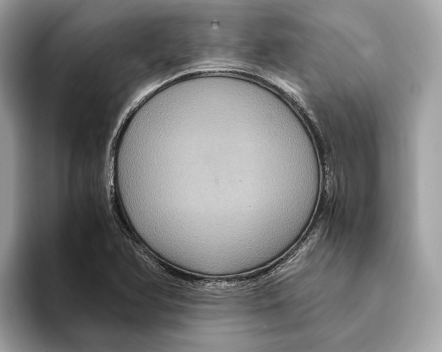 X0000095541366200801111425