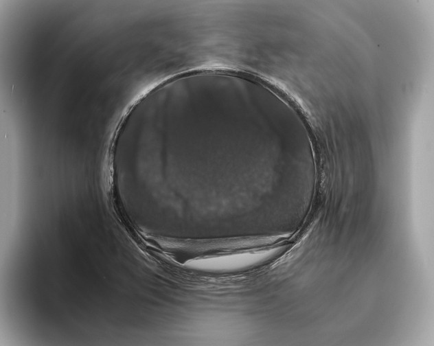 X0000095541367200801111425