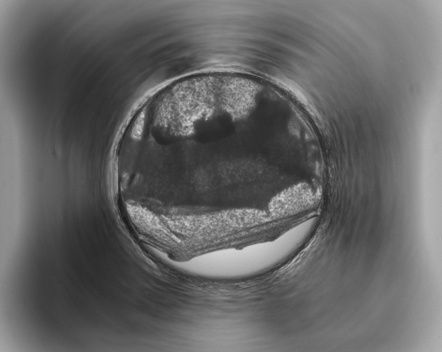 X0000095541371200801111425