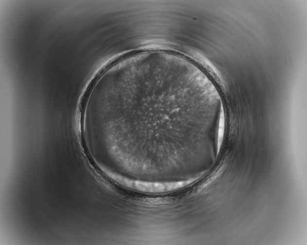 X0000095541376200801111424