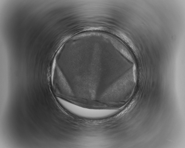 X0000095541377200801111424