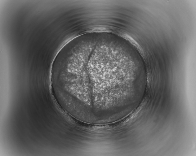 X0000095541378200801111424