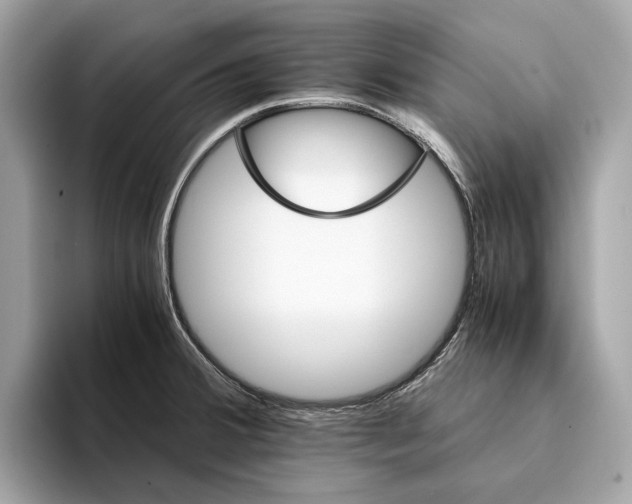 X0000095541380200801111424