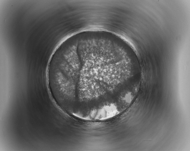 X0000095541382200801111424