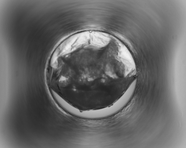 X0000095541383200801111424