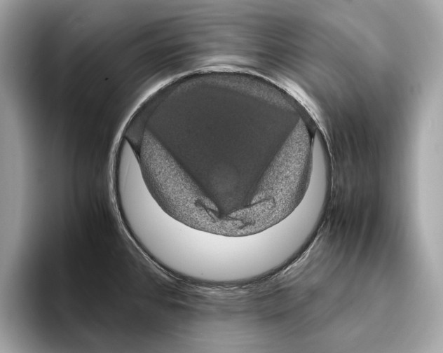 X0000095541384200801111424