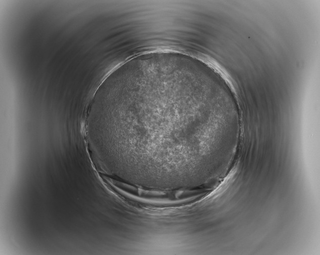 X0000095541385200801111424