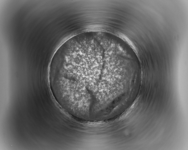 X0000095541386200801111424