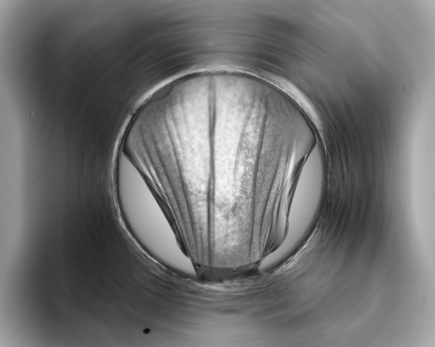 X0000095541388200801111424