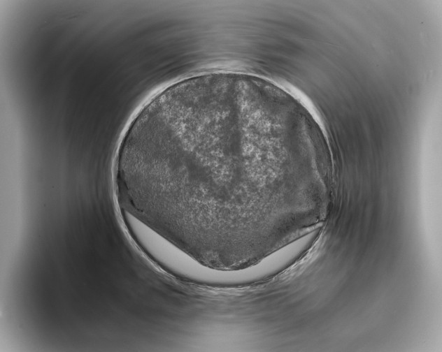 X0000095541389200801111424