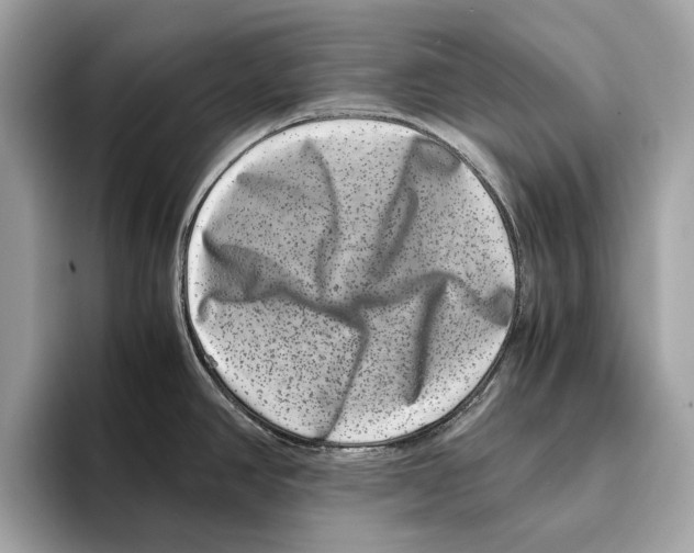 X0000095541390200801111424