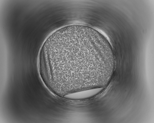 X0000095541391200801111424