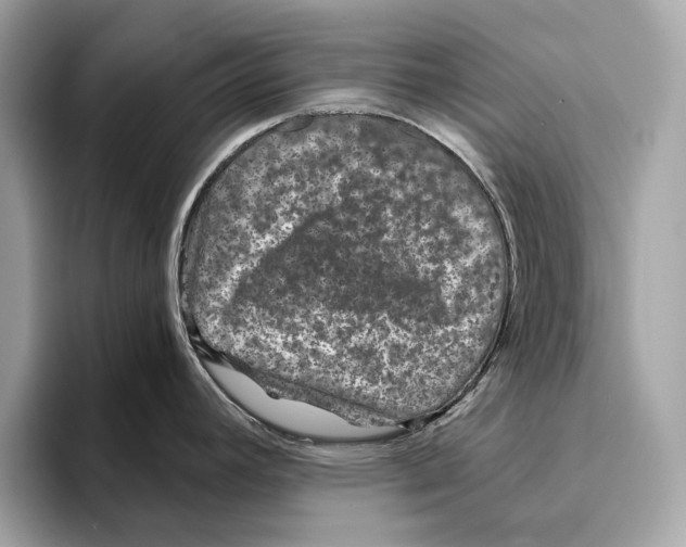 X0000095541392200801111424