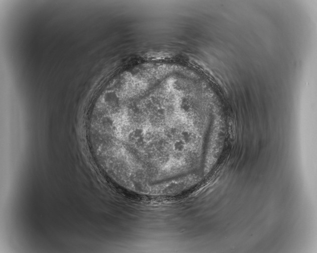 X0000095541393200801111424