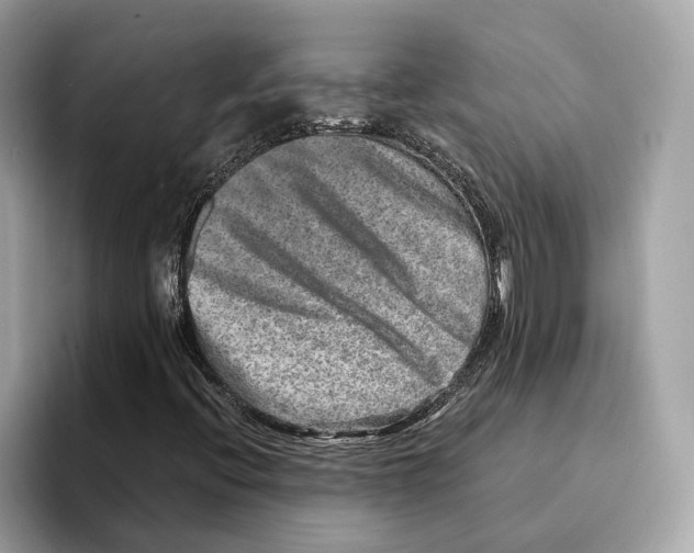 X0000095541396200801111424