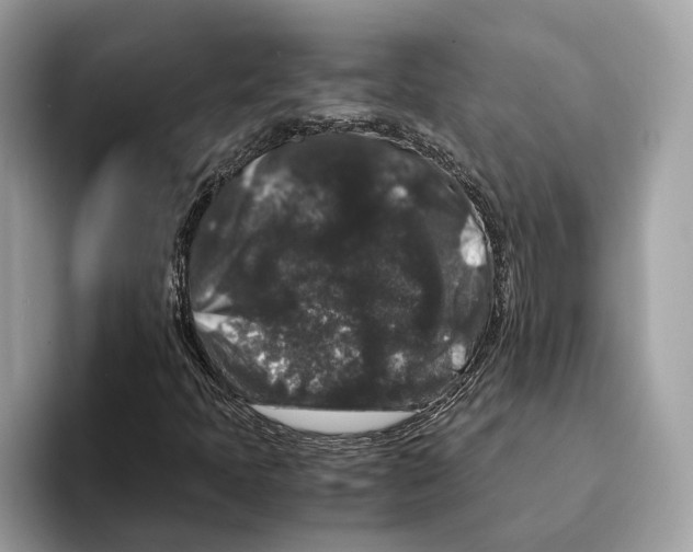 X0000095541397200801111424