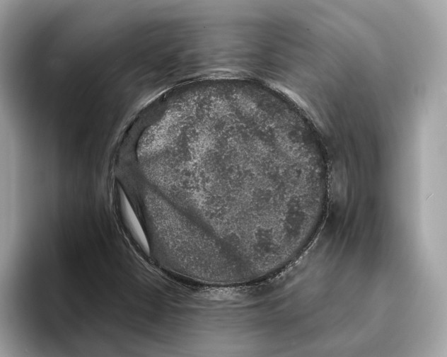 X0000095541402200801111424