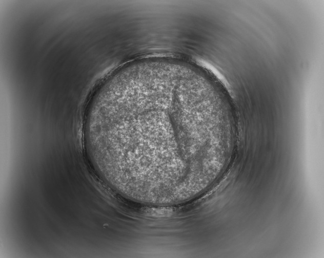 X0000095541403200801111424