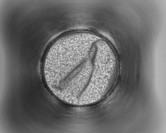 X0000095541404200801111424