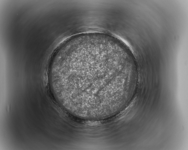 X0000095541407200801111424