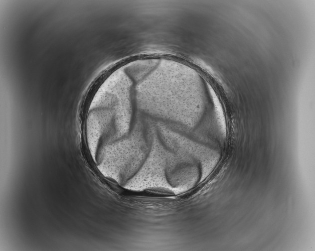 X0000095541408200801111424