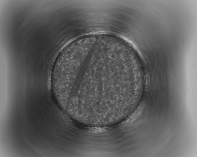 X0000095541409200801111424