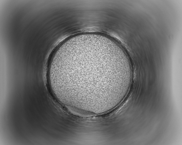 X0000095541410200801111424