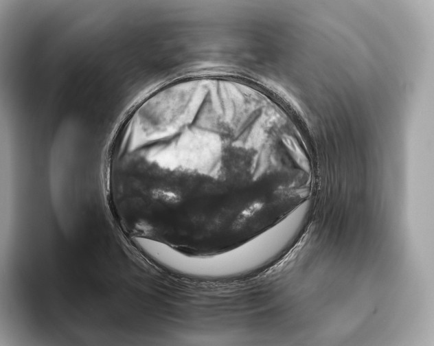 X0000095541413200801111424