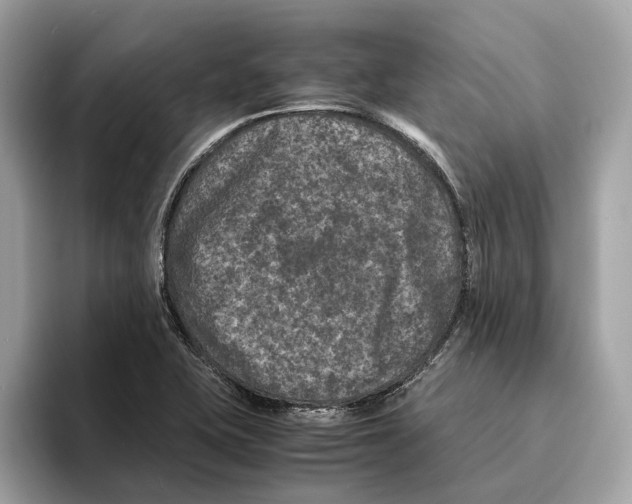 X0000095541415200801111424