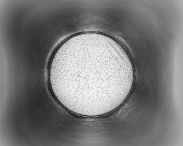 X0000095541416200801111424