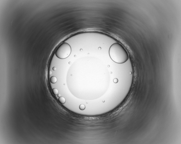 X0000095541420200801111424