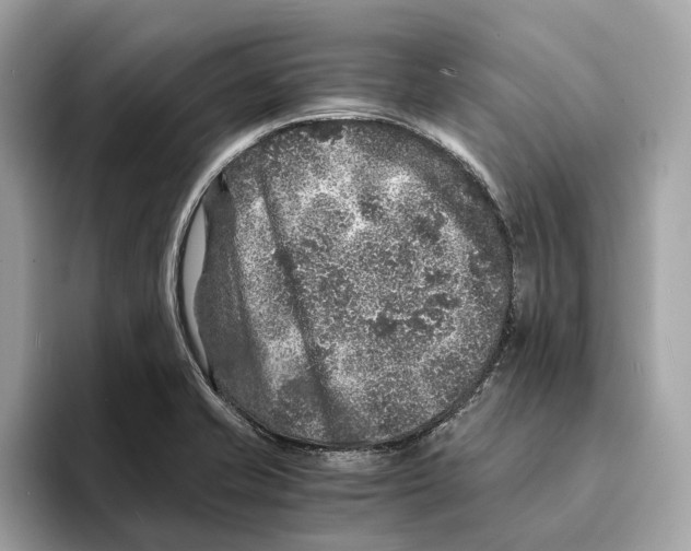 X0000095541421200801111424