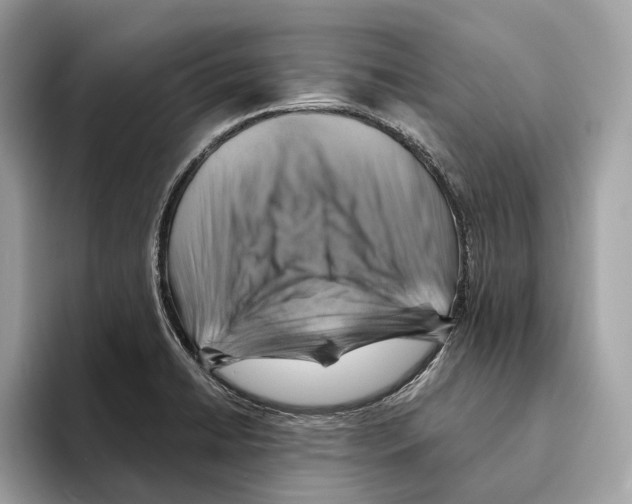 X0000095541422200801111424