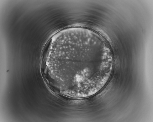 X0000095541425200801111424