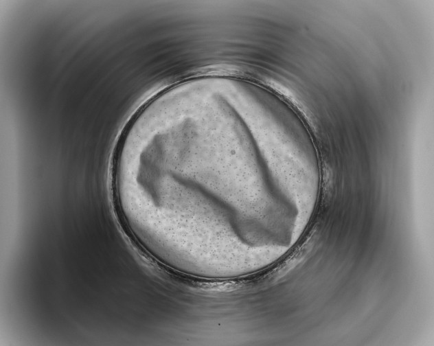 X0000095541426200801111424