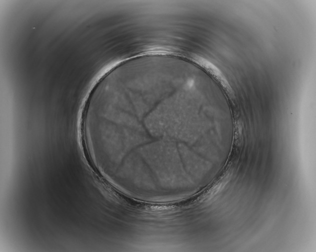 X0000095541427200801111424