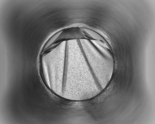 X0000095541430200801111424