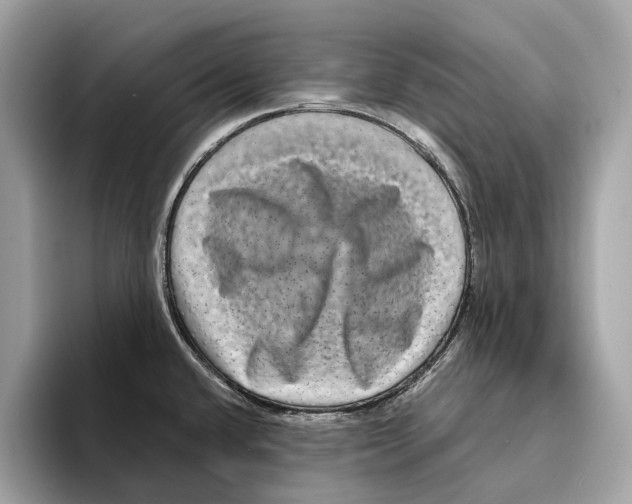 X0000095541432200801111424