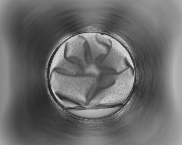 X0000095541434200801111424