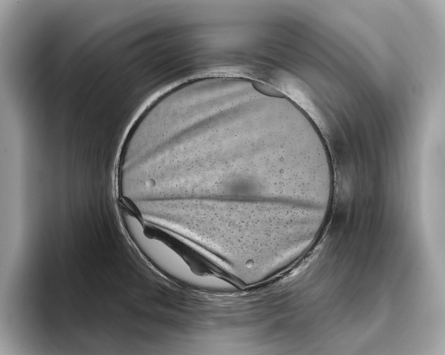 X0000095541436200801111424