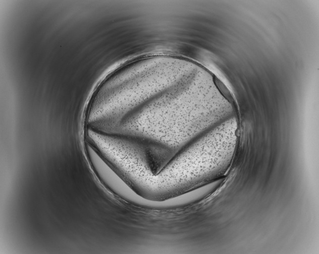 X0000095541437200801111424