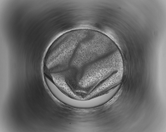 X0000095541438200801111424